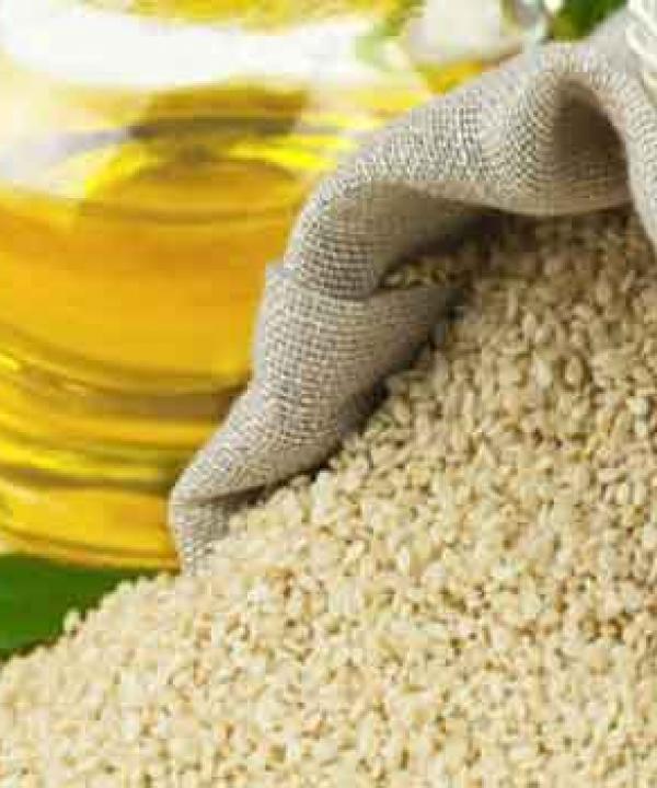 اصدارات حديثة