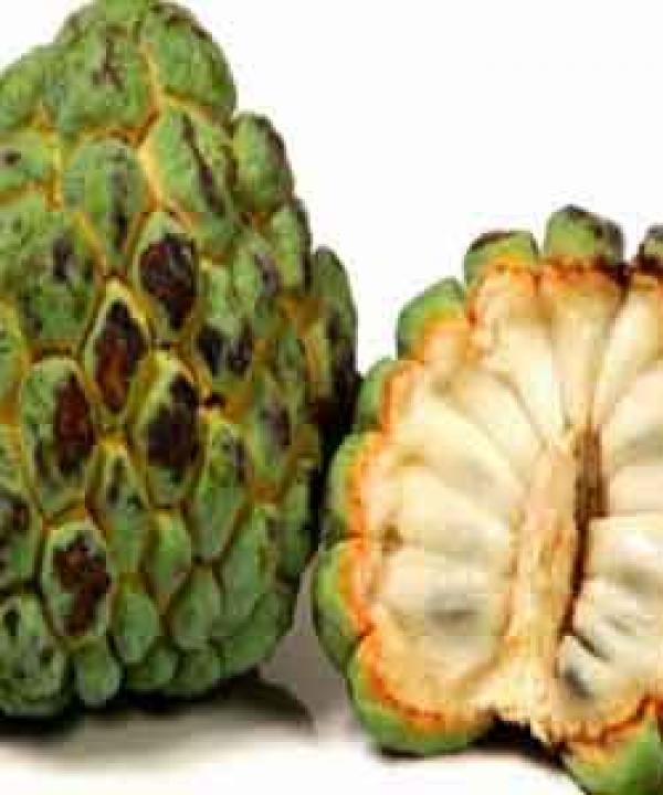 متنوع