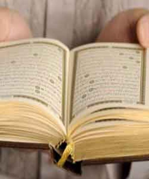 متنوع
