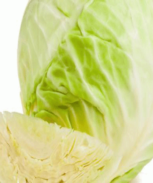 متنوع