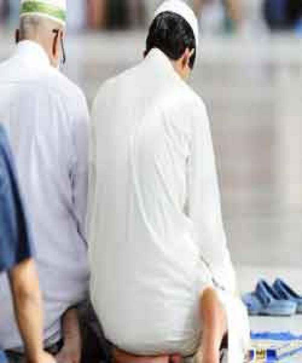 متنوع