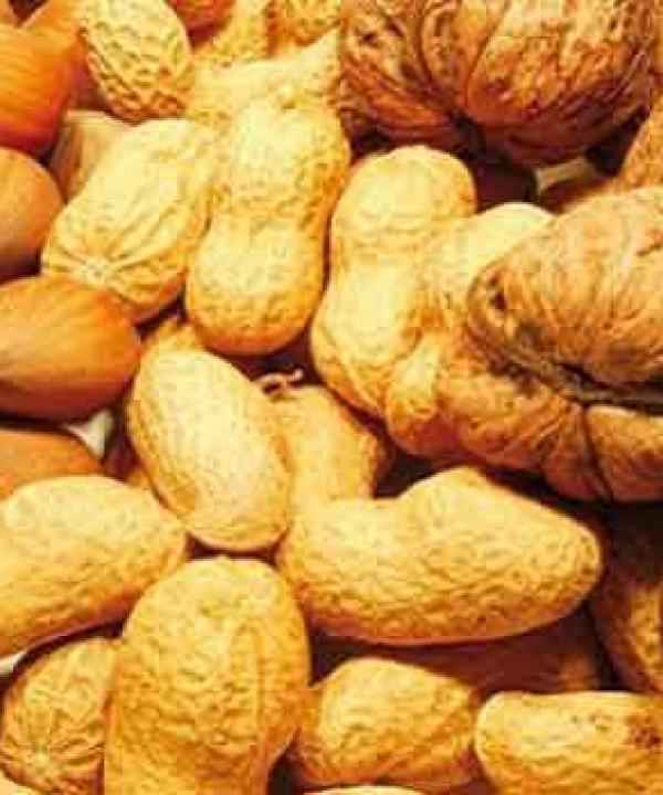 متنوع
