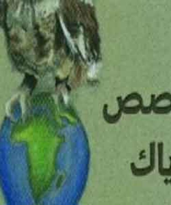 مرآة الثقافة