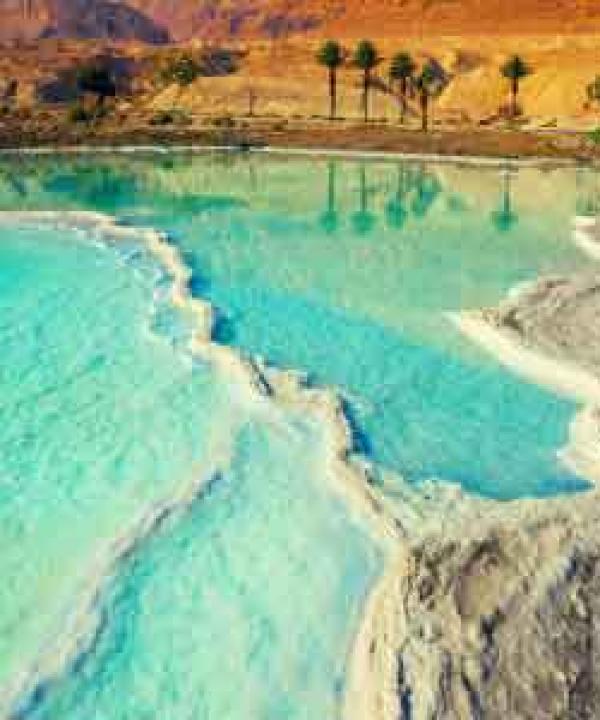 متنوع