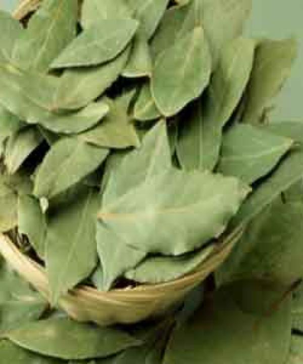 متنوع