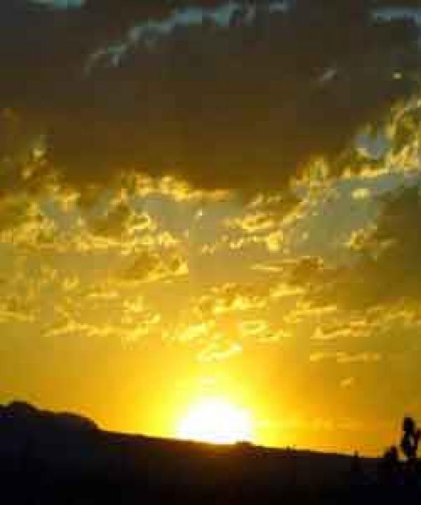 متنوع