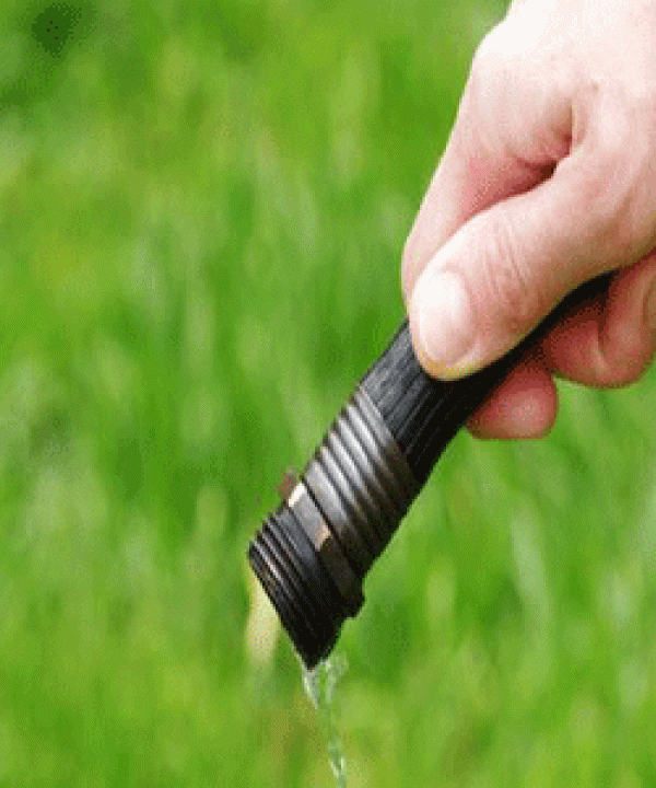 متنوع